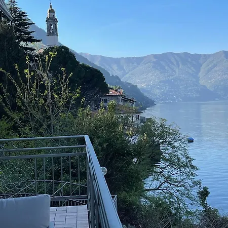 Rosina Terrazzo * Nesso